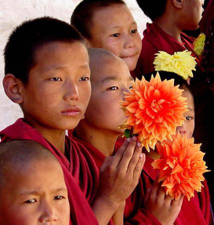 Young Buddhist monks of Tawang Monastery, a flower show, part of a Buddha Festival, Tawang, Arunachal Pradesh, India, October 15, 2002.